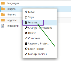 تغییر نام Plugins وردپرس