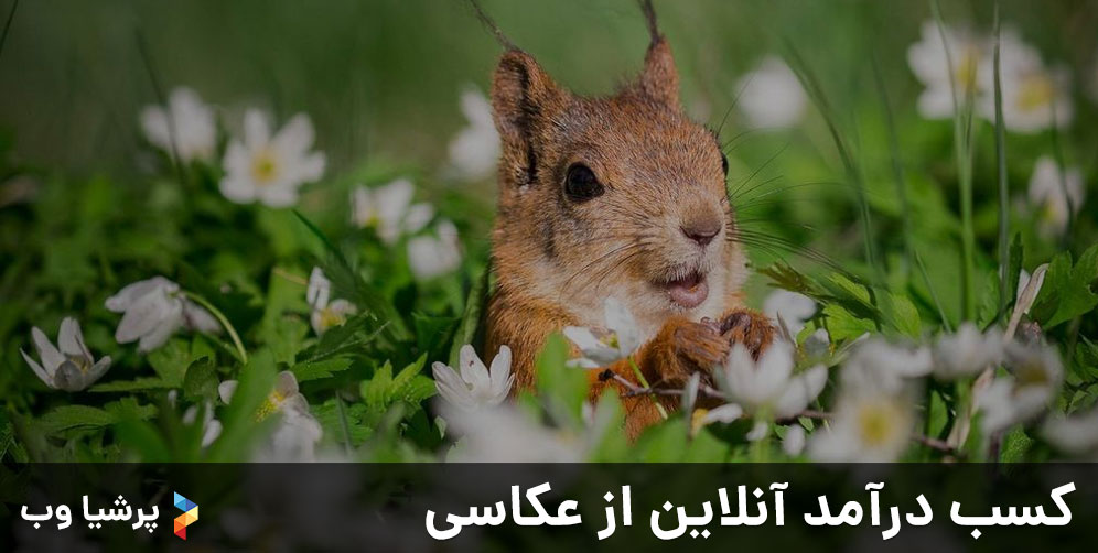 کسب درآمد آنلاین از عکاسی