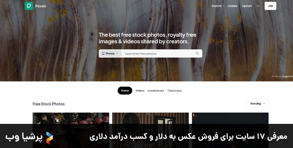 معرفی 17 سایت برای فروش عکس به دلار و کسب در‌آمد دلاری